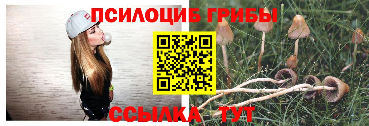 Псилоцибиновые грибы MAGIC MUSHROOMS  Вход с VPN  Тулун  Галлюциногенные грибы Magic Shrooms 